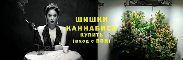 сатива Армянск