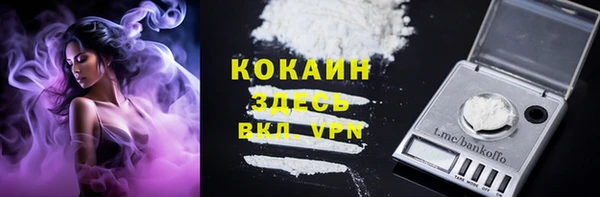 мяу мяу мука Арсеньев