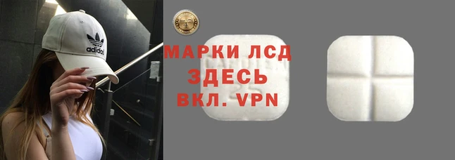 сатива Армянск