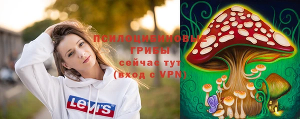 сатива Армянск