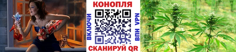 купить наркотики цена Светогорск Бошки марихуана MAZAR